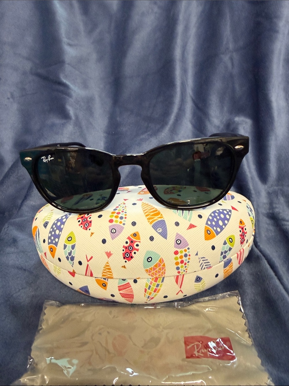 Ray-Ban Black Frame Sunglasses with Dark Lenses